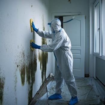 Houston Mold Remediation