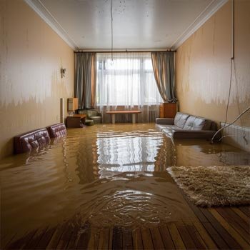 My Houston Water Damage Restoration